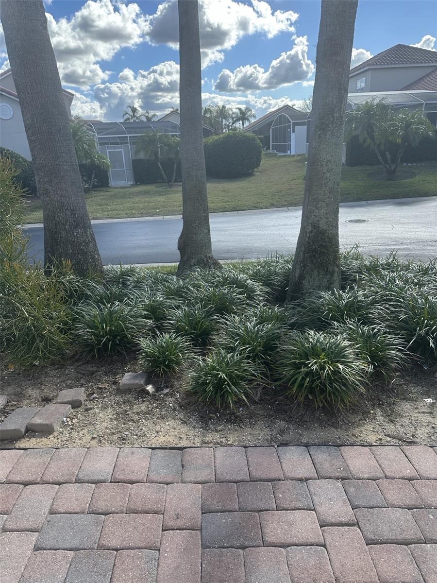 609 BRUNELLO DRIVE photo 3