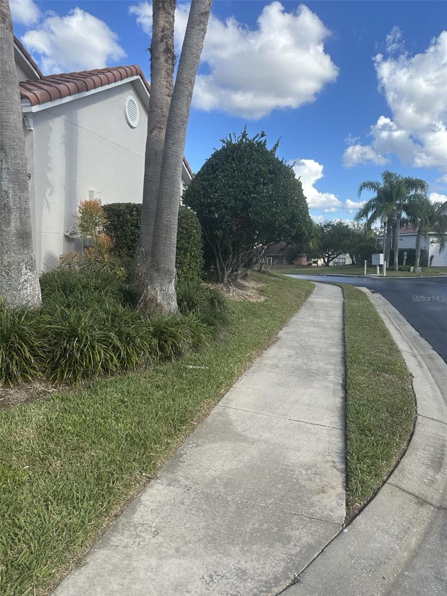 609 BRUNELLO DRIVE photo 4