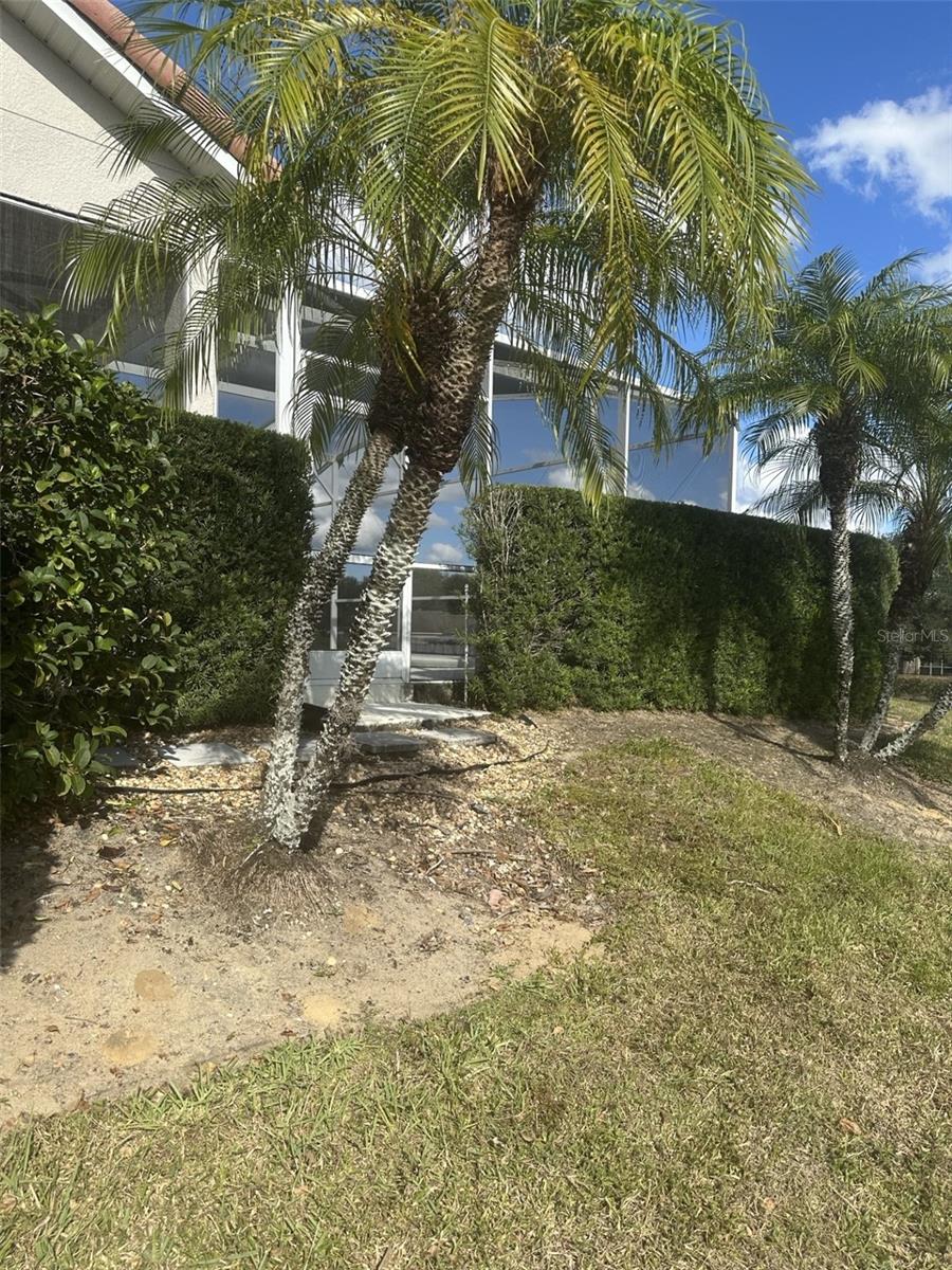609 BRUNELLO DRIVE photo 5