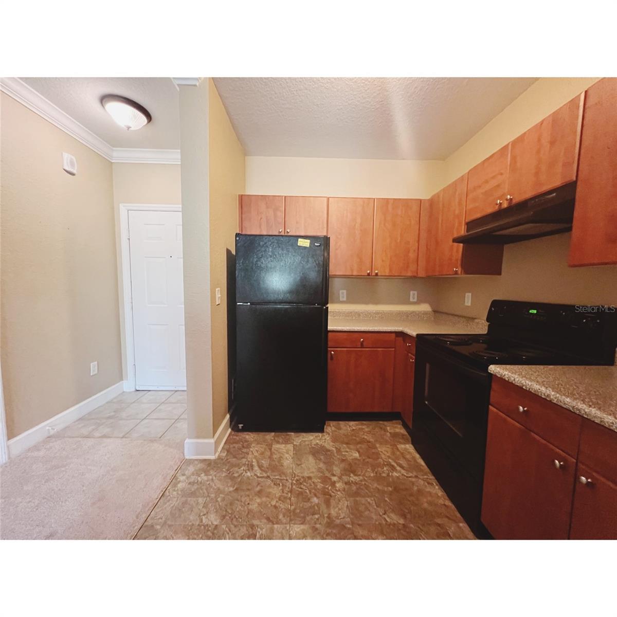 304 E SOUTH STREET #3019 photo 2