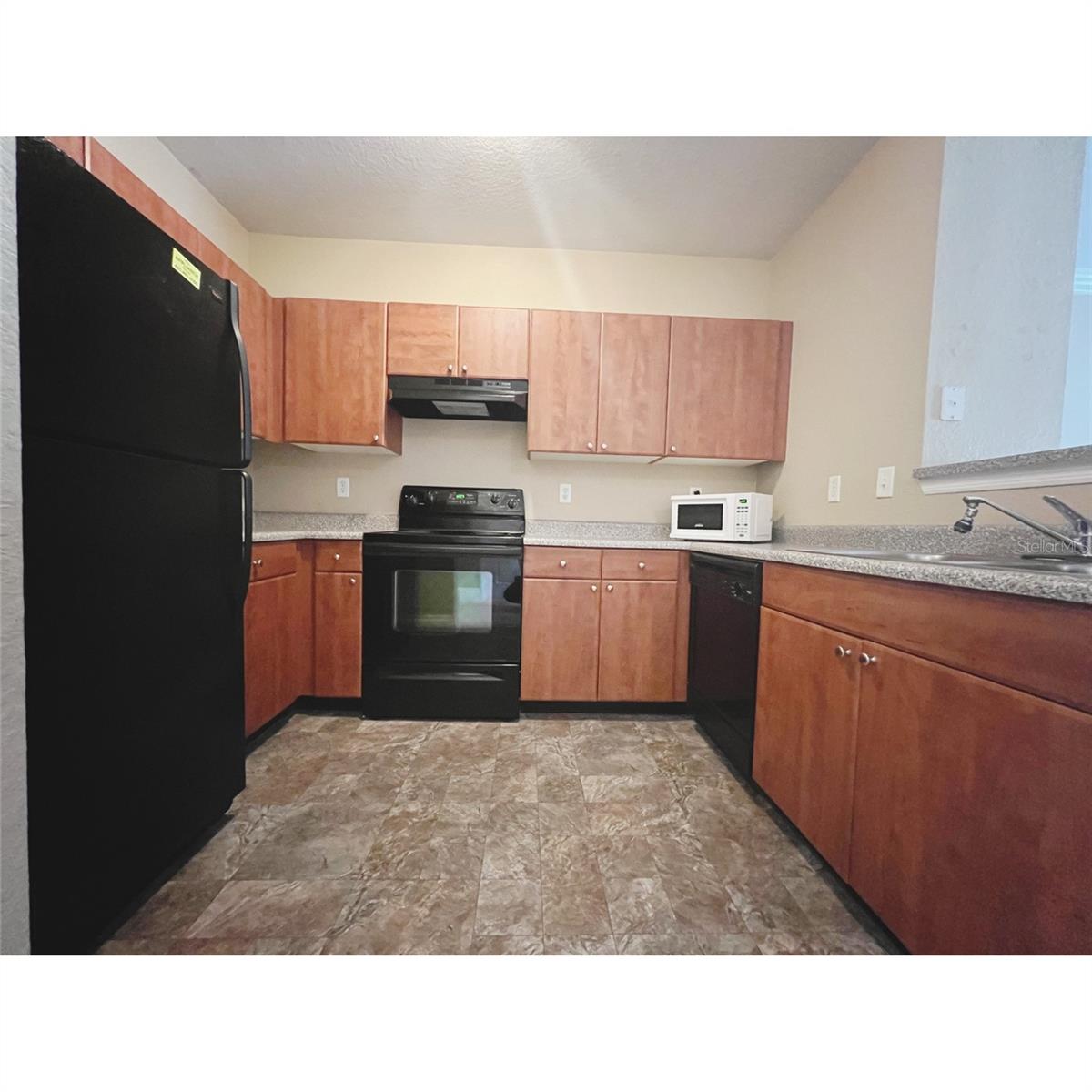 304 E SOUTH STREET #3019 photo 3