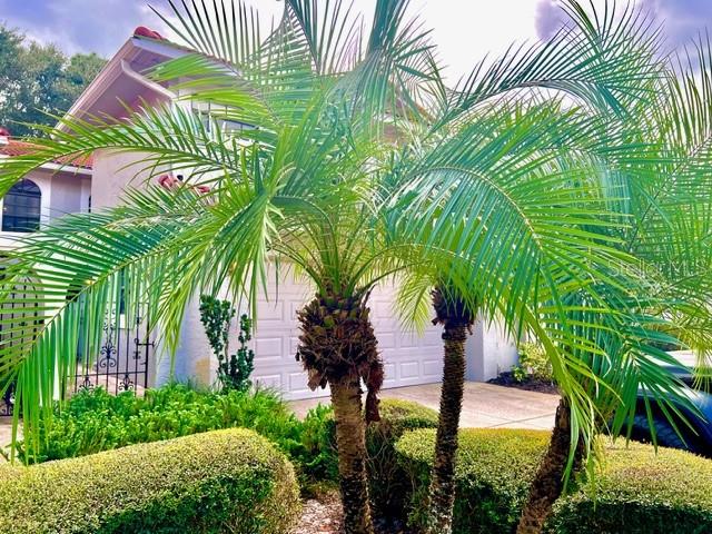 8214 AMBROSE COVE WAY photo 5
