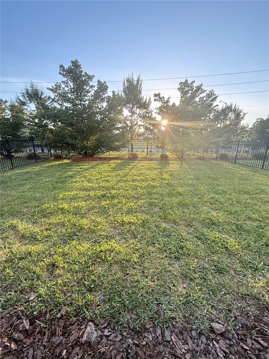 1048 DOWNSWING PLACE photo 4