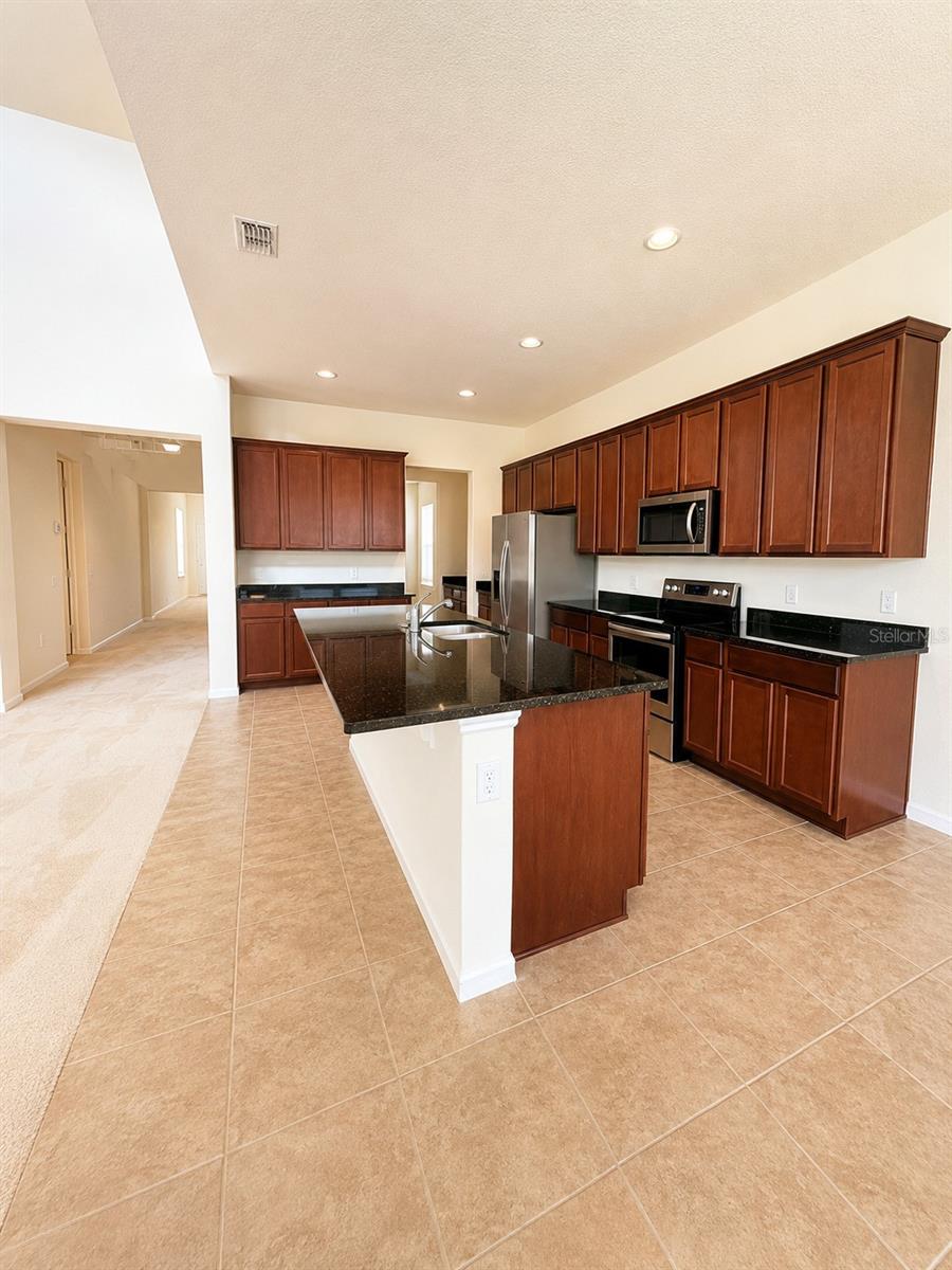 10103 AUSTRINA OAK LOOP photo 2