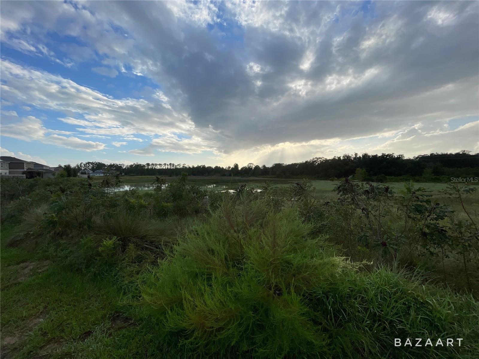 1353 SAWGRASS HAMMOCK LANE photo 5