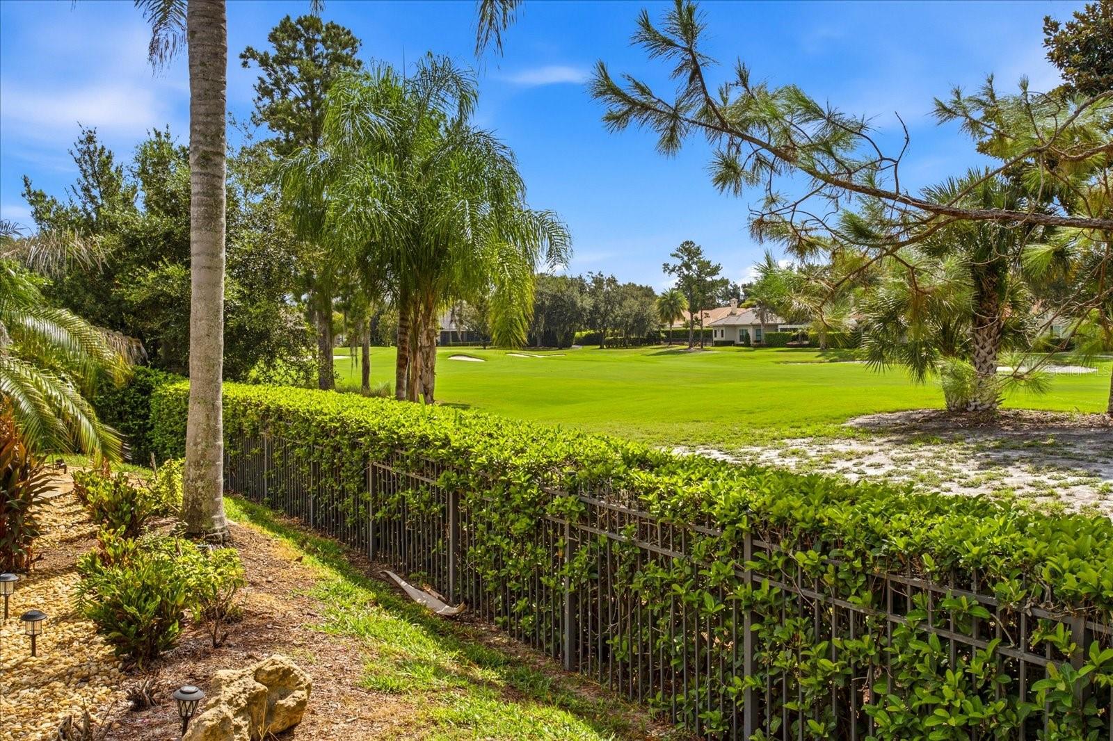 8241 TIBET BUTLER DRIVE photo 4