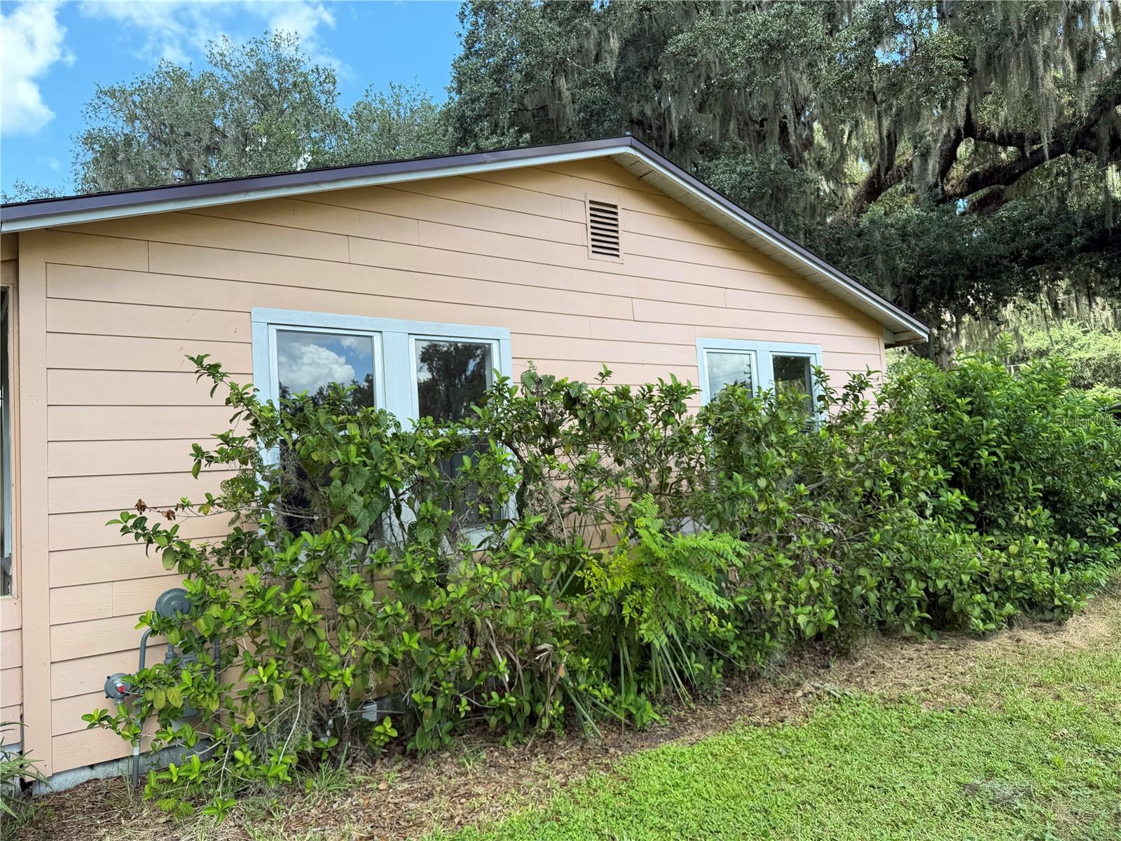 815 N ORANGE AVENUE photo 4