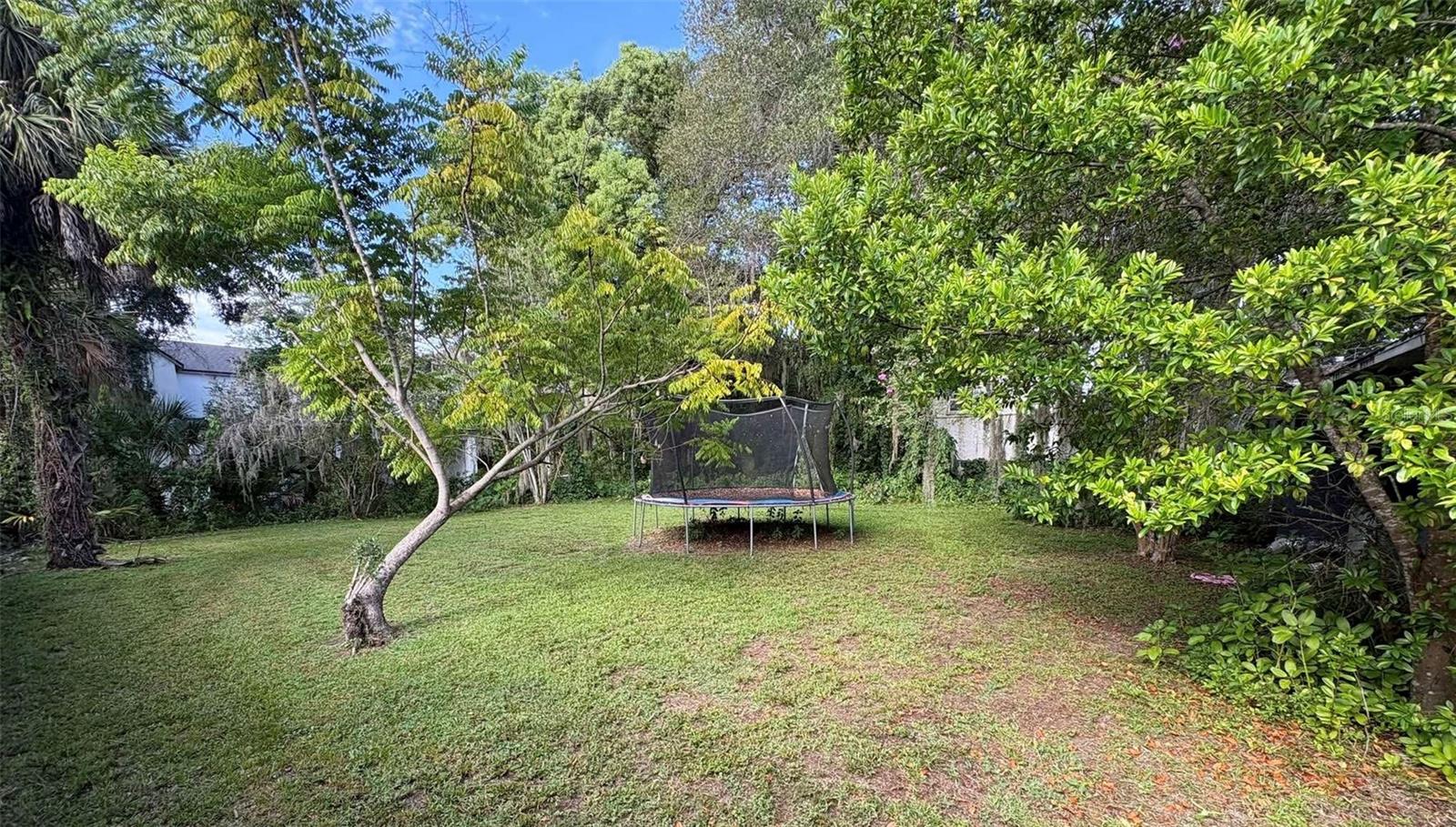1212 DELANEY PARK DRIVE photo 3